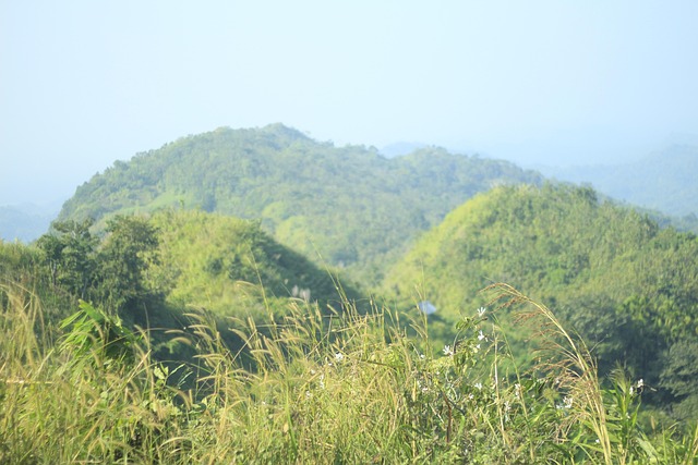 Natureza, Montanha, Montanhas, Panorama