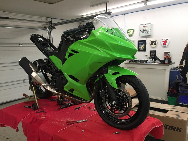 Free Parrotte Kawasaki photo and picture