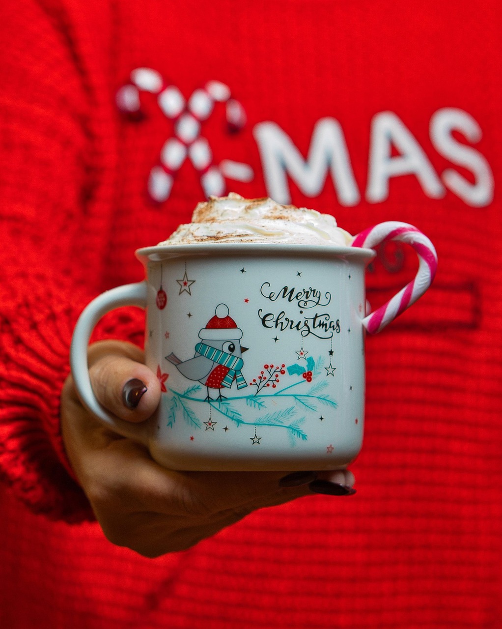 Hot Chocolate Drink Christmas - Free photo on Pixabay - Pixabay