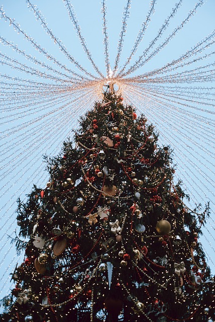 Decoration Noël, Arbre De Noël, Kerstmis