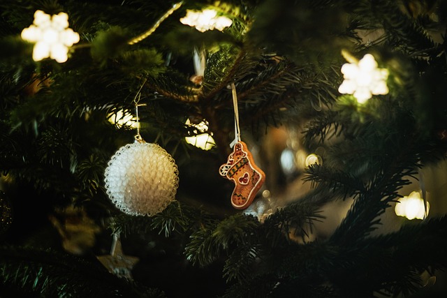 Free Merry Christmas Christmas photo and picture Free Merry Christmas Christmas photo and picture
