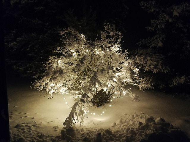 Free Christmas Lights Chrismas photo and picture