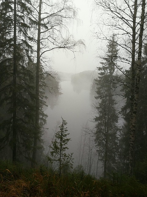 Free Fog Haze photo and picture