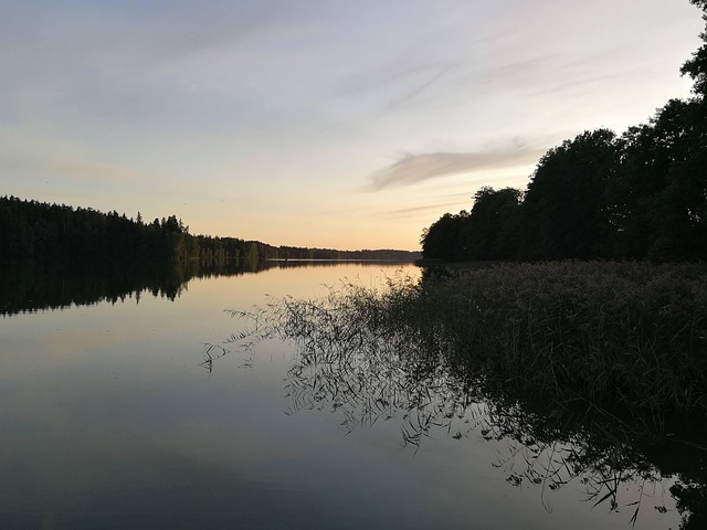 Free Summer Lake photo and picture