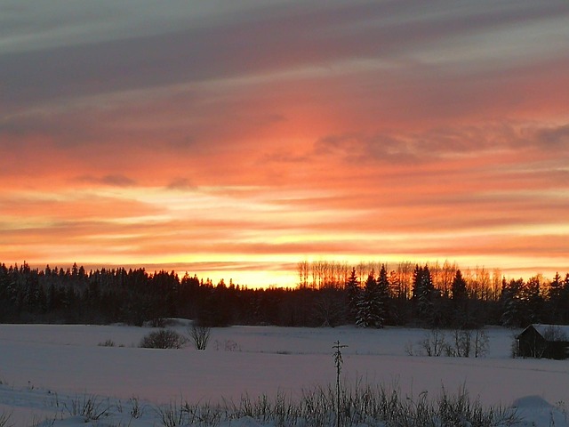 Free Winter Finland photo and picture