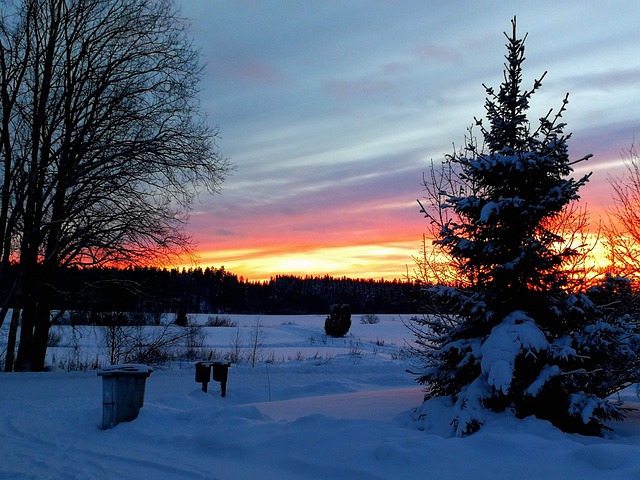 Free Winter Sun photo and picture