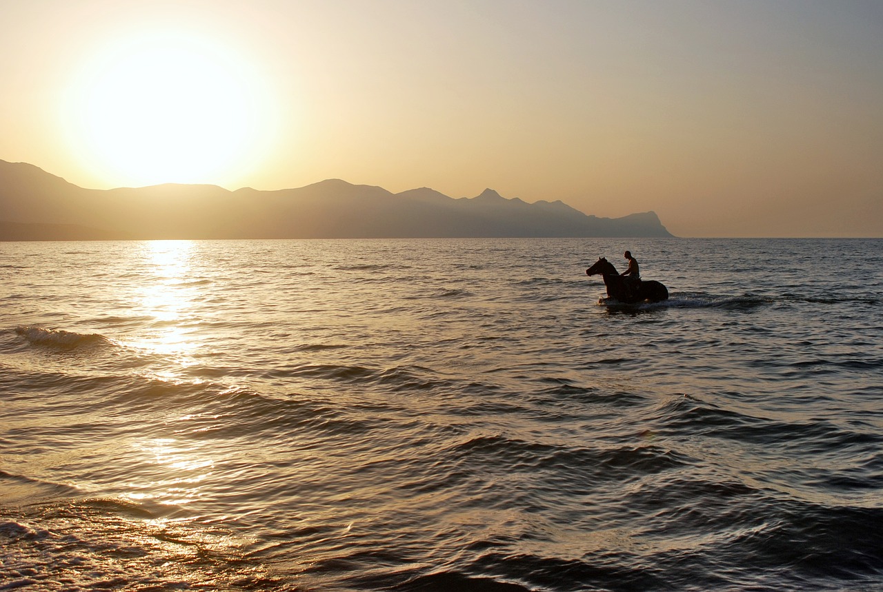 Horse Sea Sunset - Free photo on Pixabay - Pixabay