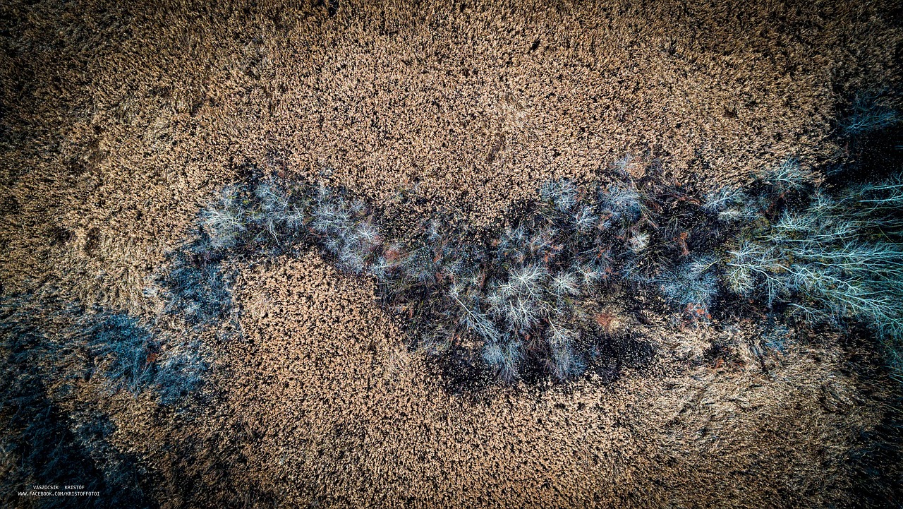 Drone Nature Trees Free Photo On Pixabay Pixabay