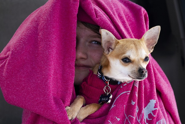 Free Dog Kid photo and picture