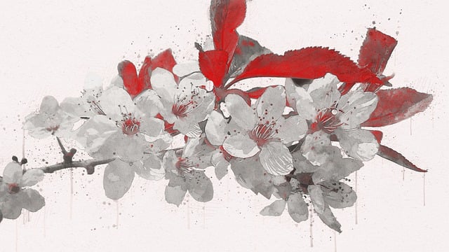 Free cherry blossom flowers photo art illustration