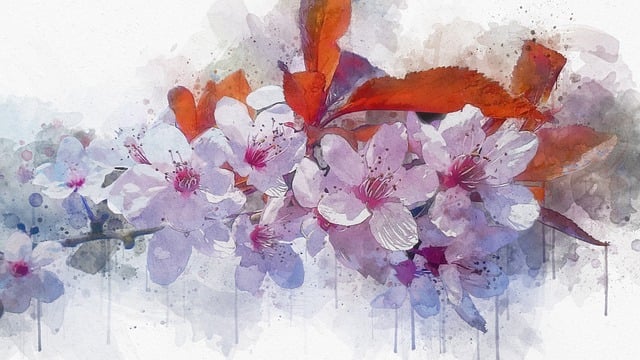 Free cherry blossom flowers photo art illustration