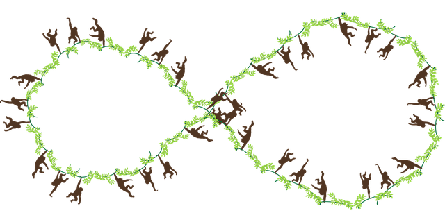 Free monkeys infinity infinite vector