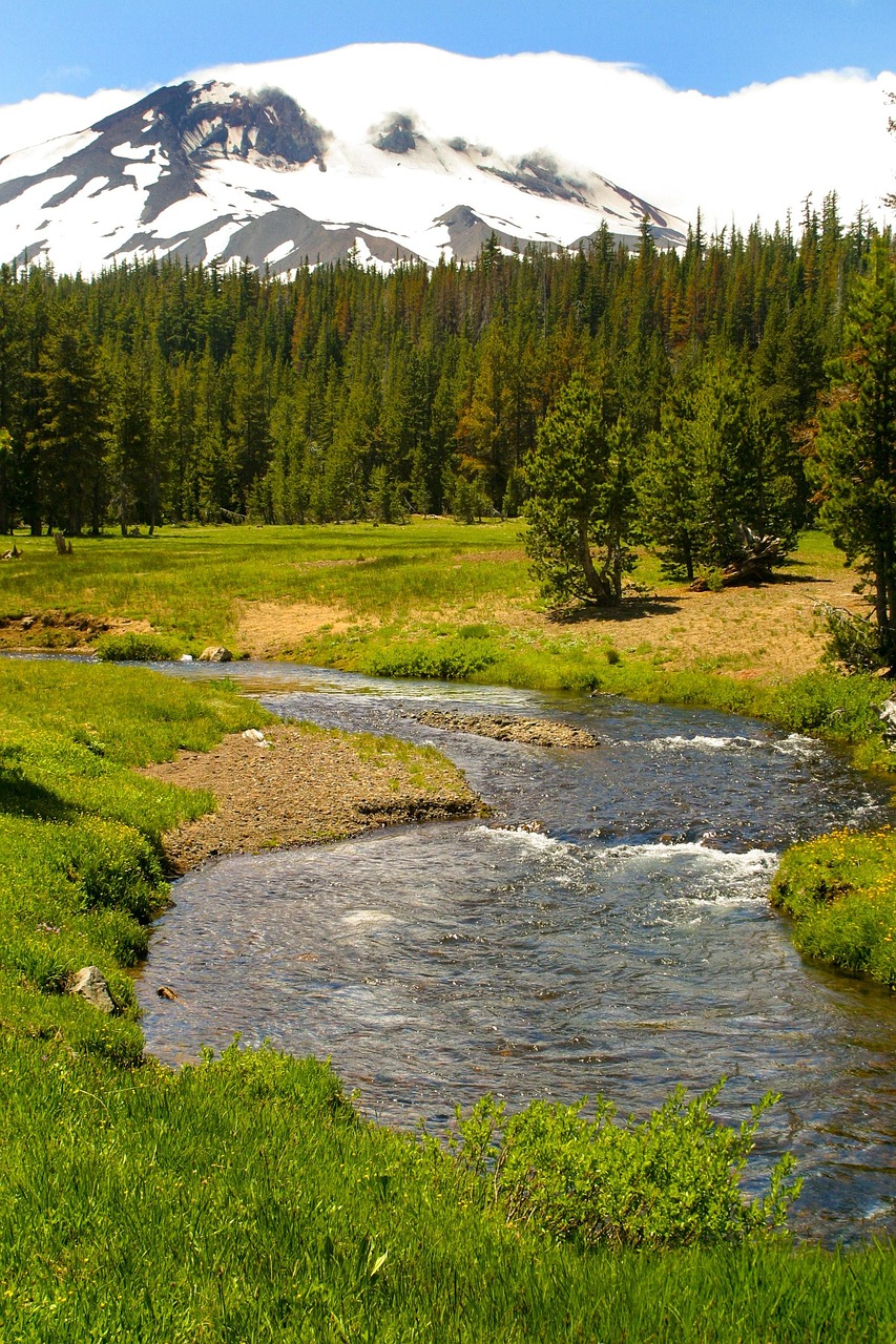 Creek Trees Mountains Free photo on Pixabay Pixabay
