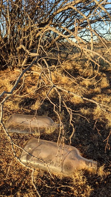 Free Desert Glass Bottle photo and picture