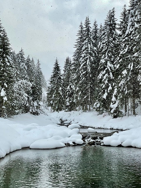 Schnee, Winter, Natur, Kalt, Landschaft
