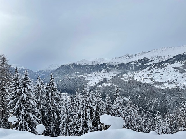 Winter, Schnee, Fendels, Tyrol