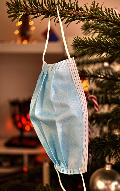 Free Christmas Christmas Tree photo and picture