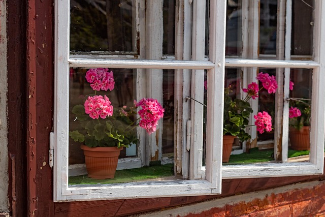 Altes Gebäude, Fenster, Blume, Alte