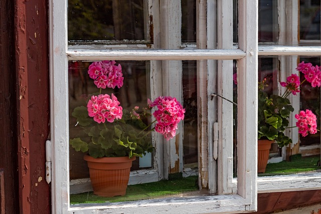 Altes Gebäude, Fenster, Blume, Alte