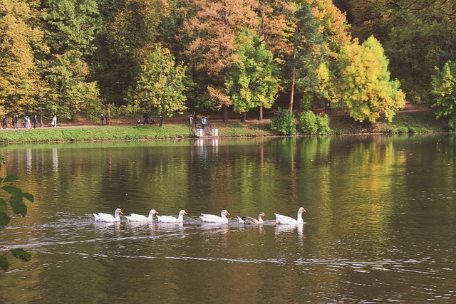 Free Nature The Park photo and picture