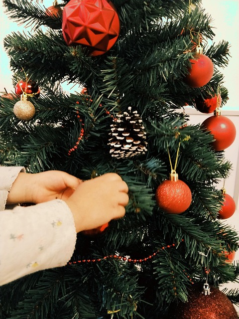 Free Christmas Tree Xmas photo and picture