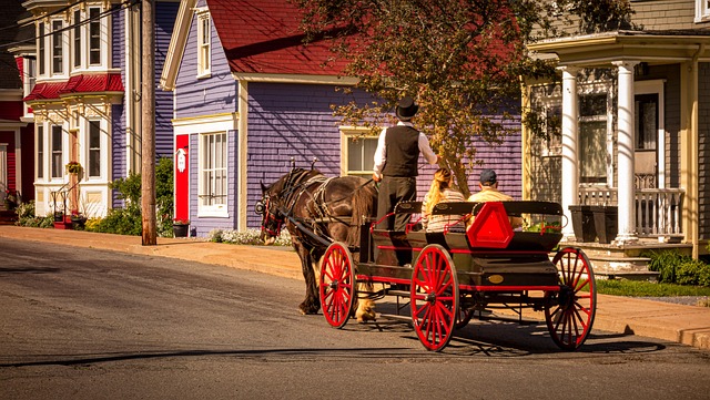 Free Horse And Buggy Horse photo and picture