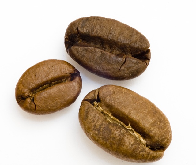 Free Coffee Grain photo and picture