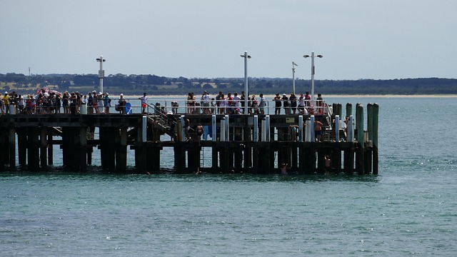 Free Jetty Sea photo and picture