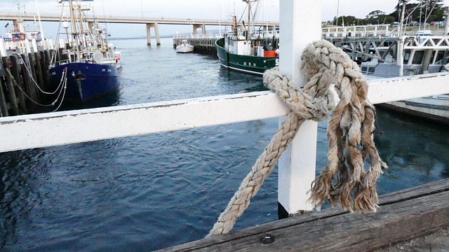 Free Port Fishing photo and picture