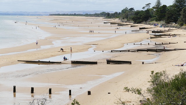 Free Sand Beach photo and picture