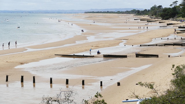 Free Sand Beach photo and picture