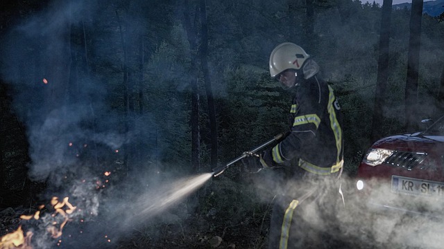 Free Firefighter Help photo and picture