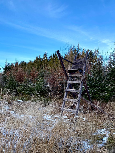 Free Hunter'S Stand Hunting Signal photo and picture