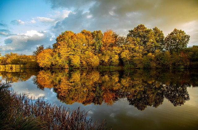 Free Fall Autumn photo and picture