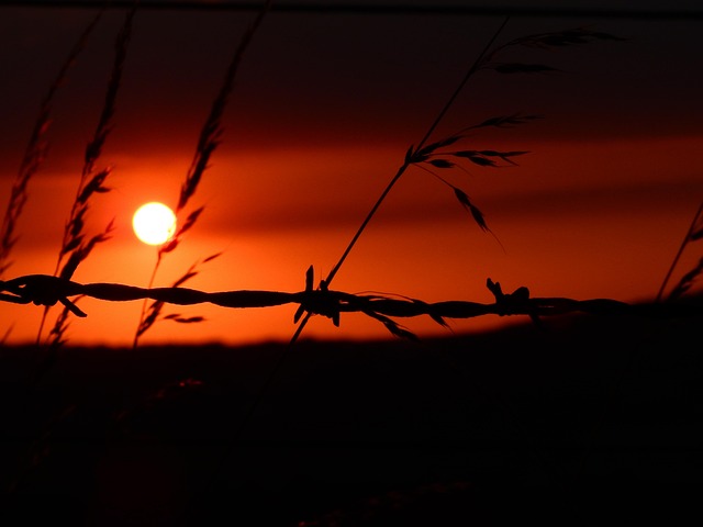 Stacheldraht, Sonne, Sonnenuntergang