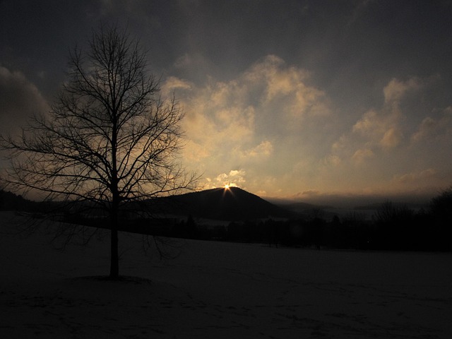Abend, Herbst, Kahl, Baum, Landschaft