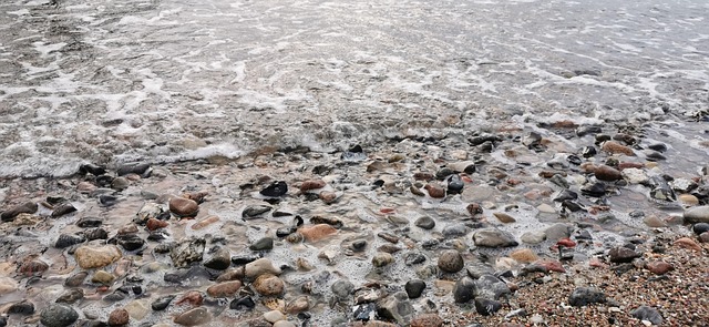 Free Sea Baltic Sea photo and picture