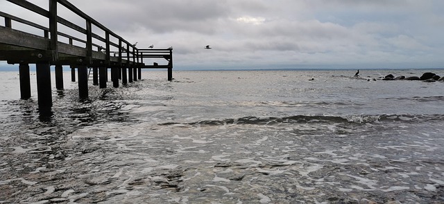 Free Pier Baltic Sea photo and picture