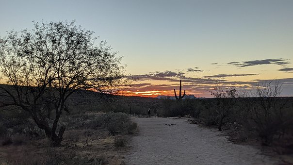 Free Landscape Sunset photo and picture