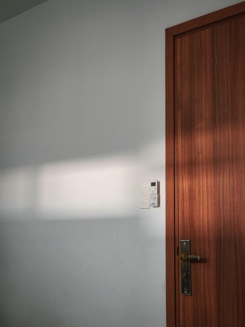 Free Door Sunshine photo and picture