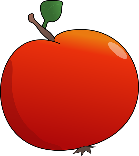 Free apple fruit food illustration