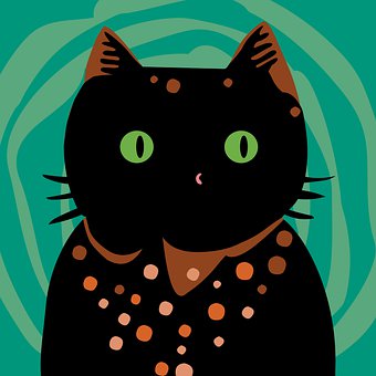 Gato, Animal, Animal Doméstico, Visão
