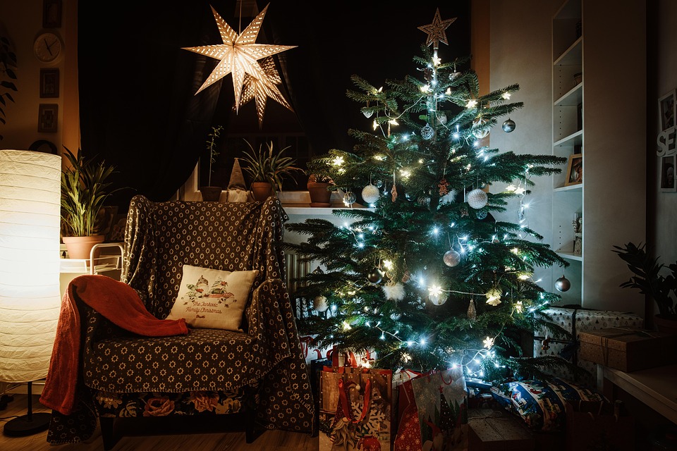 Merry Winter December - Free photo on Pixabay