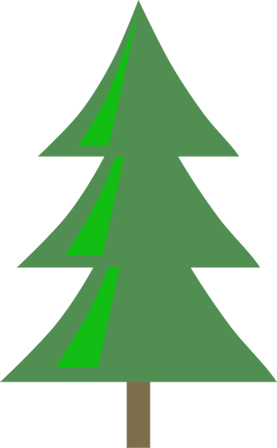 Download Christmas Tree, Pine Tree, Evergreen. Royalty-Free Vector ...