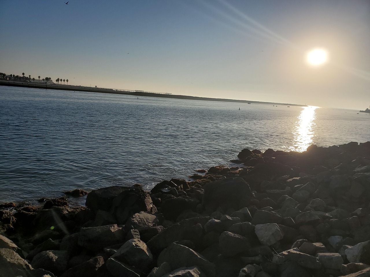 Summer Sea - Free photo on Pixabay - Pixabay