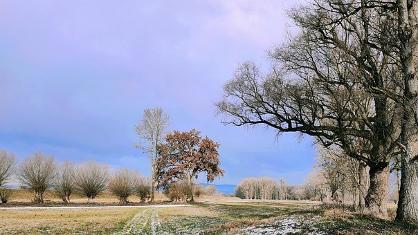 Flodbred, Himmel, Træ, Eng, Tø, Vinter