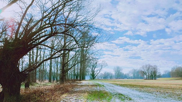 Donau, Flodbred, Uden For, Himmel, Natur