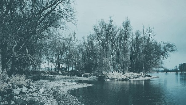 Donau, Flodbred, Himmel, Træer, Vinter