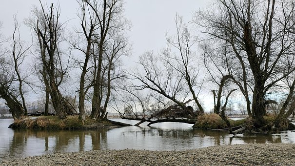Donau, Flodbred, Himmel, Træer, Eng