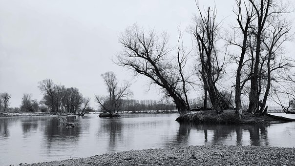 Donau, Flodbred, Himmel, Træer, Eng